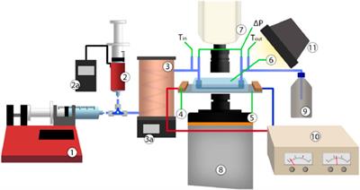 Experimental description of heat transfer processes at two-phase flow in microchannels towards the development of a heat sink for PV panels